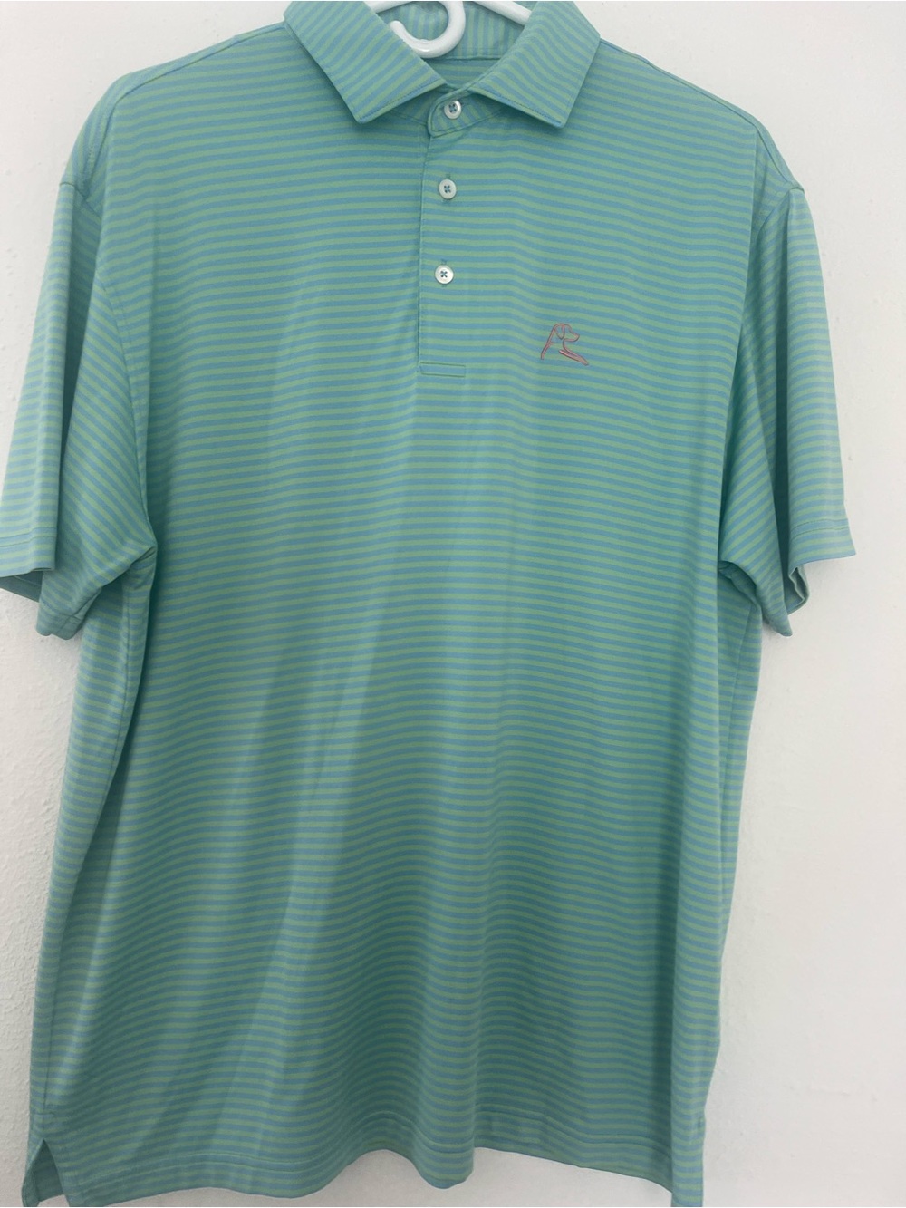 RhobackMen's Striped Mint Polo Shirt